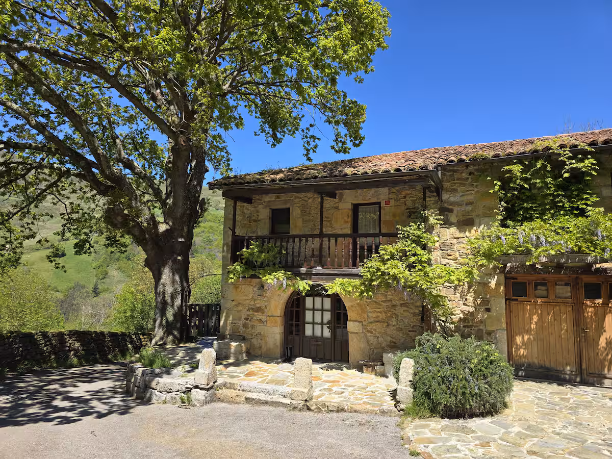 Casa rústica de piedra con balcón de madera y un gran roble, en los Valles Pasiegos